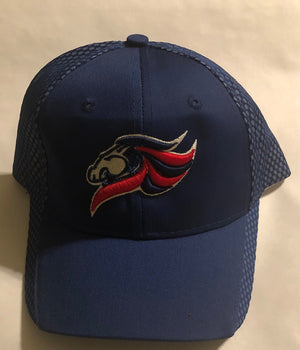 Legacy Traditional School NW Tucson - Hat