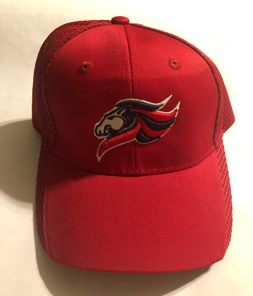 Legacy Traditional School NW Tucson - Hat